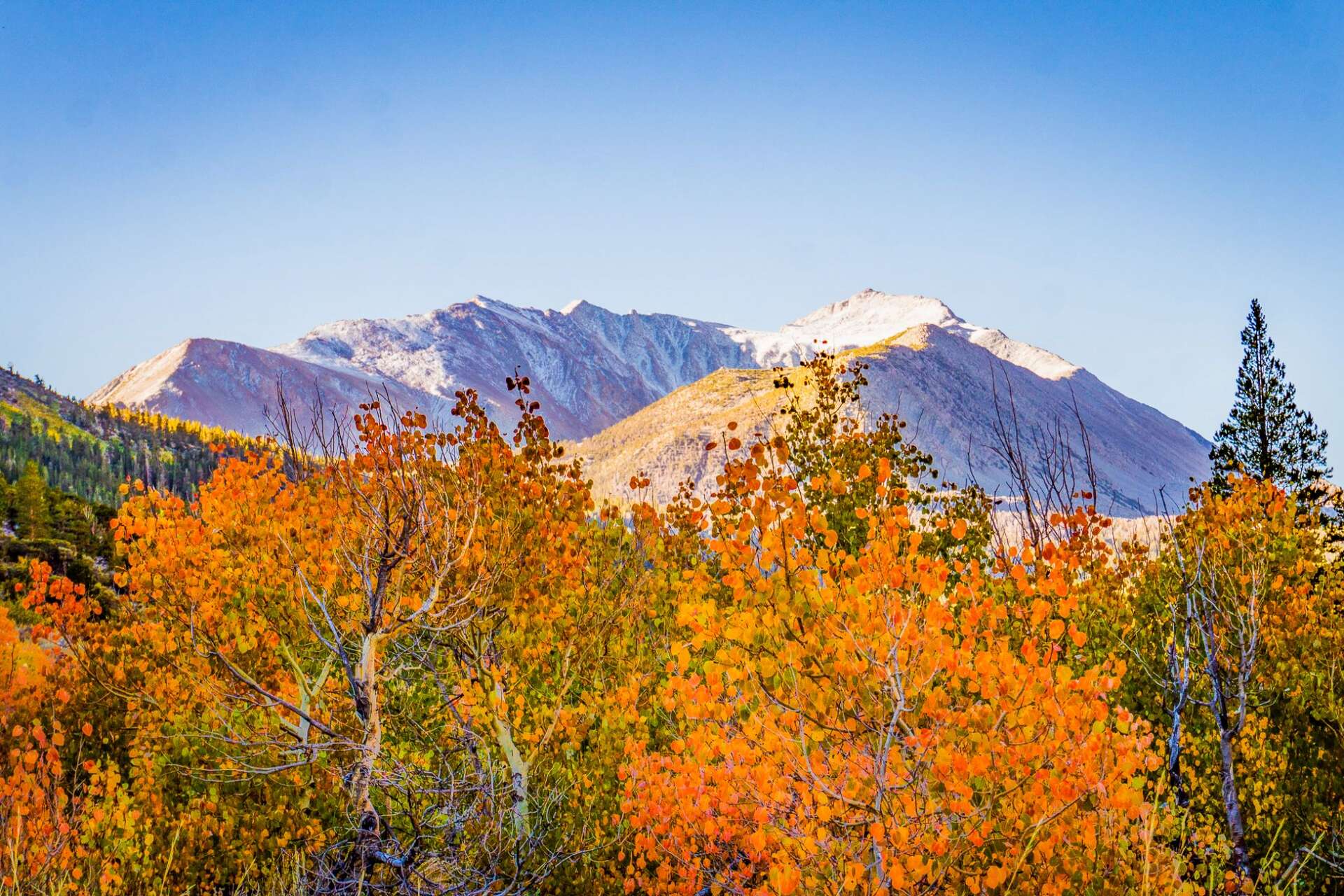 Fall foliage season arrives in Northern California