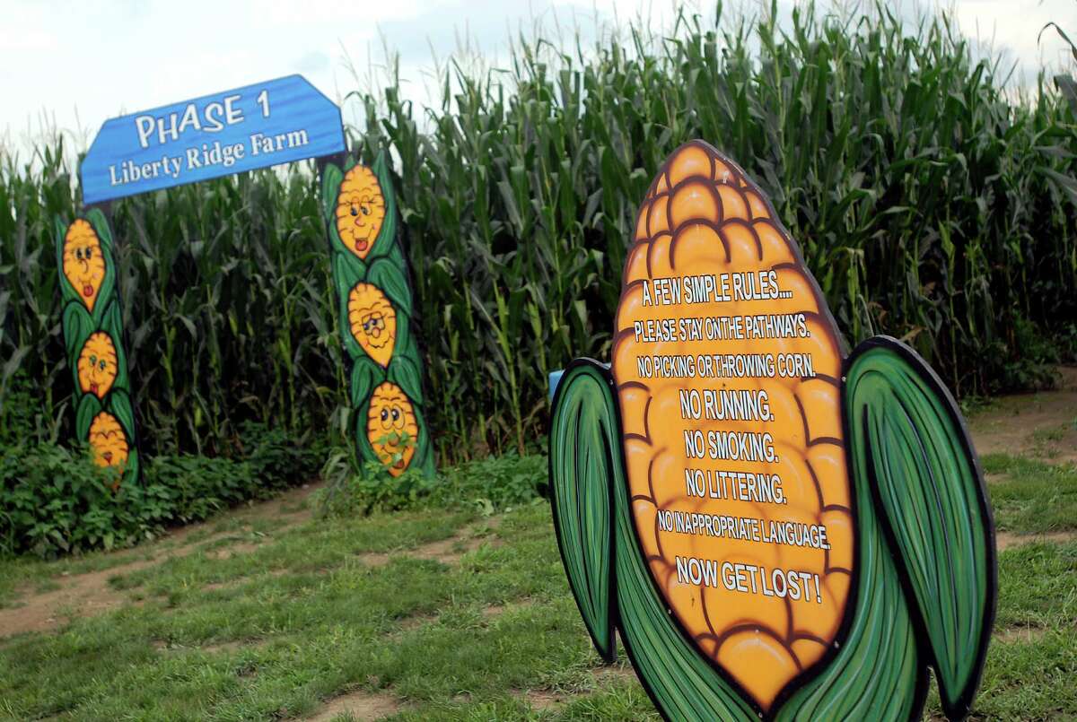 Autumnthemed activities in the Capital Region