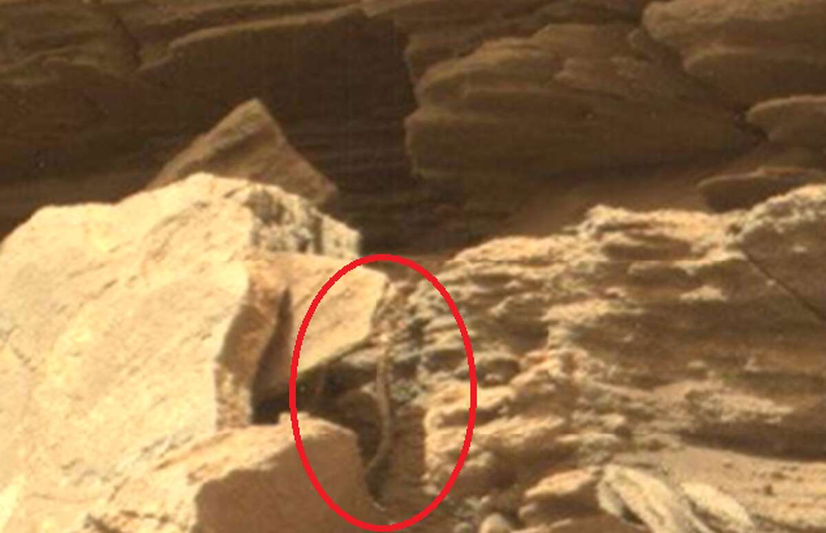 UFO enthusiasts have spotted a garden snake in a NASA rover photo, Sept. 16, 2016.