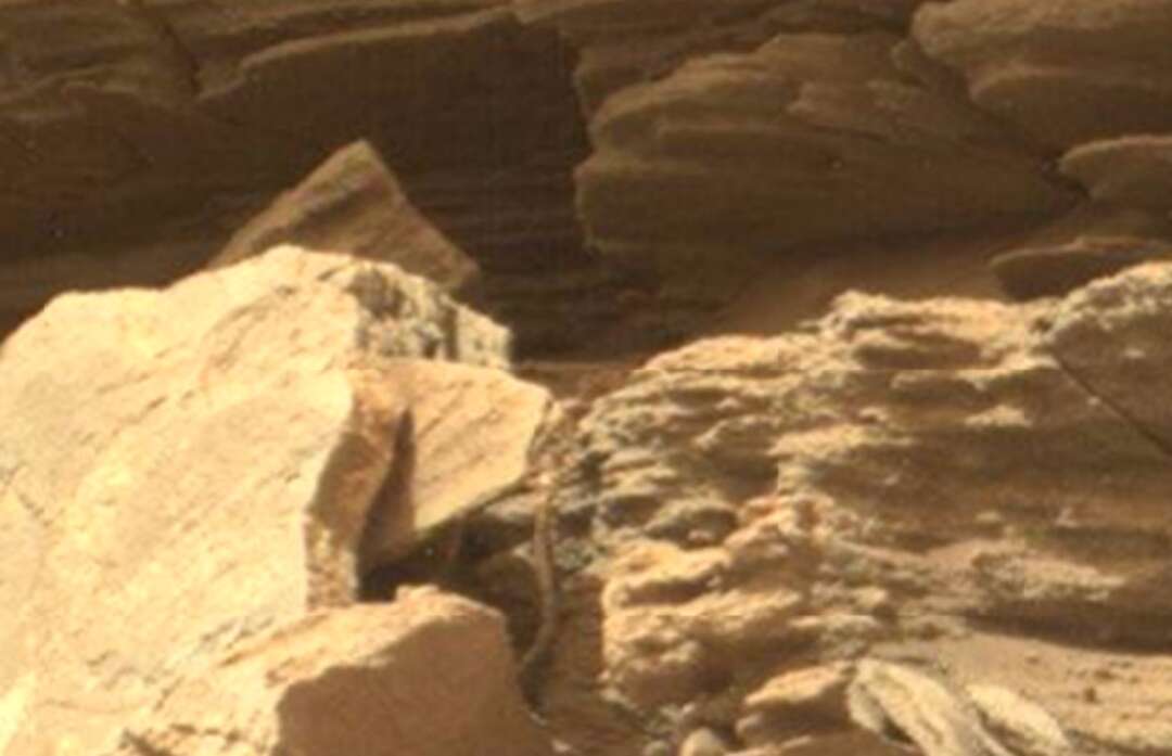 Snake spotted in NASA Mars photo feeds growing conspiracy theory