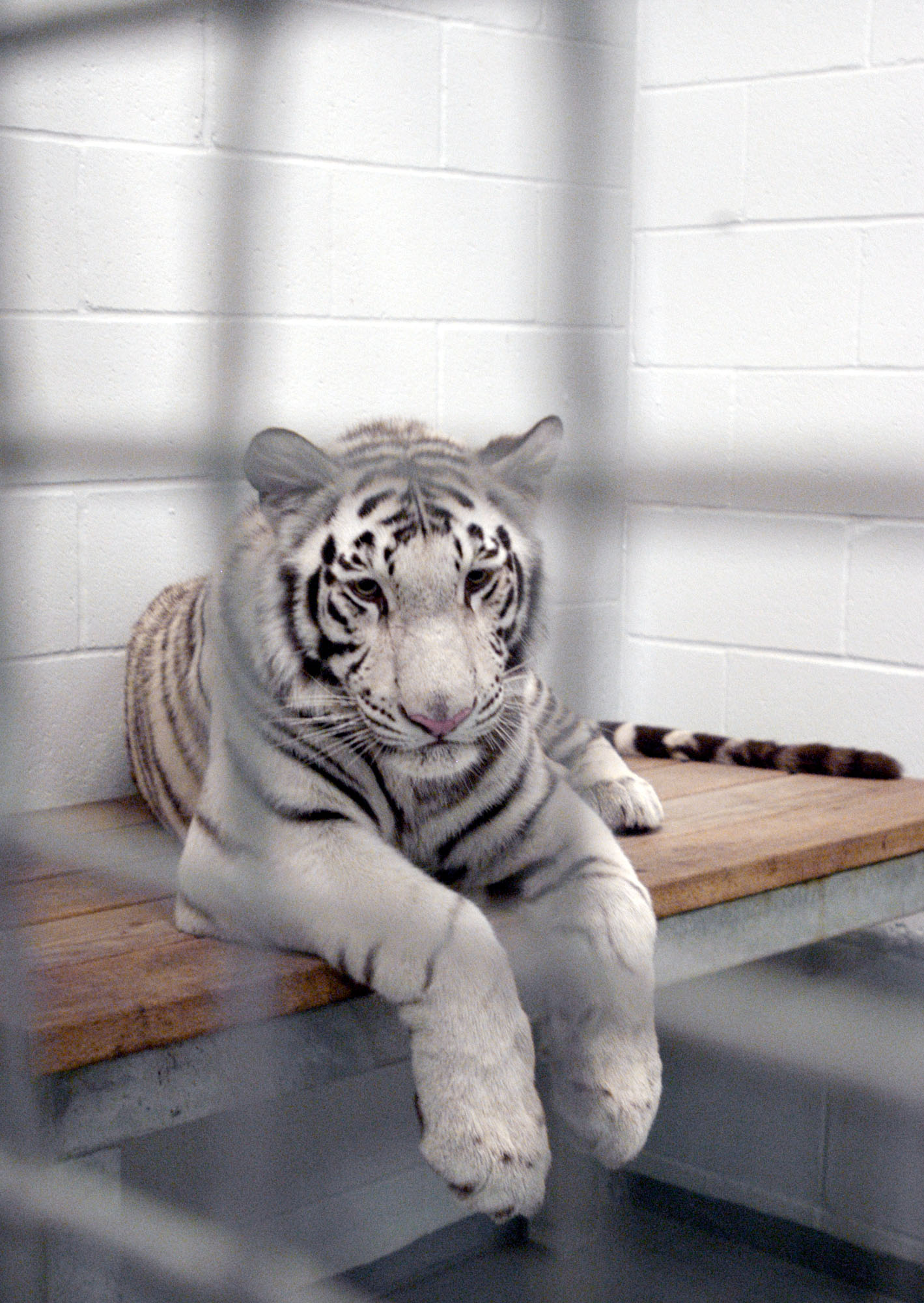 What to know before you visit