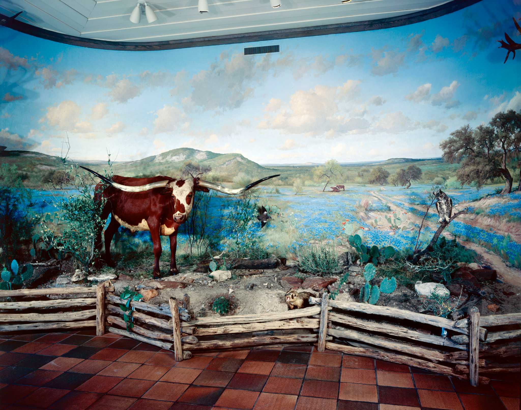 Historic Porfirio Salinas Painting Rescued From Fire Has A New