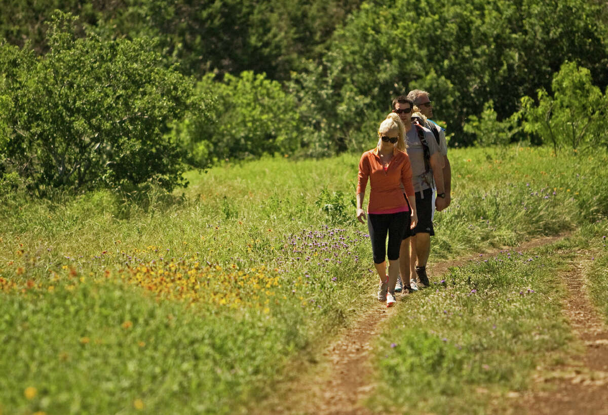 A group of hikers stroll among the wildflowers at Government Canyon State Natural Area.