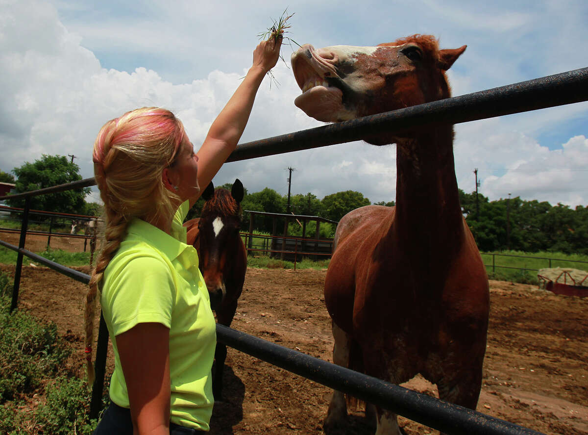 Places to ride horses, get horseback riding lessons in San Antonio