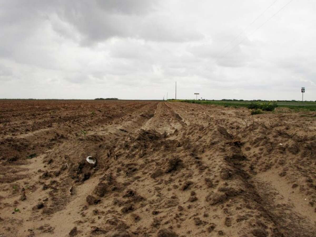 This May 14 photo shows a field where a crop failed to emerge in Lyford. Farmers in South Texas are struggling with uneven crops and some that never emerged as the Rio Grande Valley suffers through its driest stretch ever recorded.