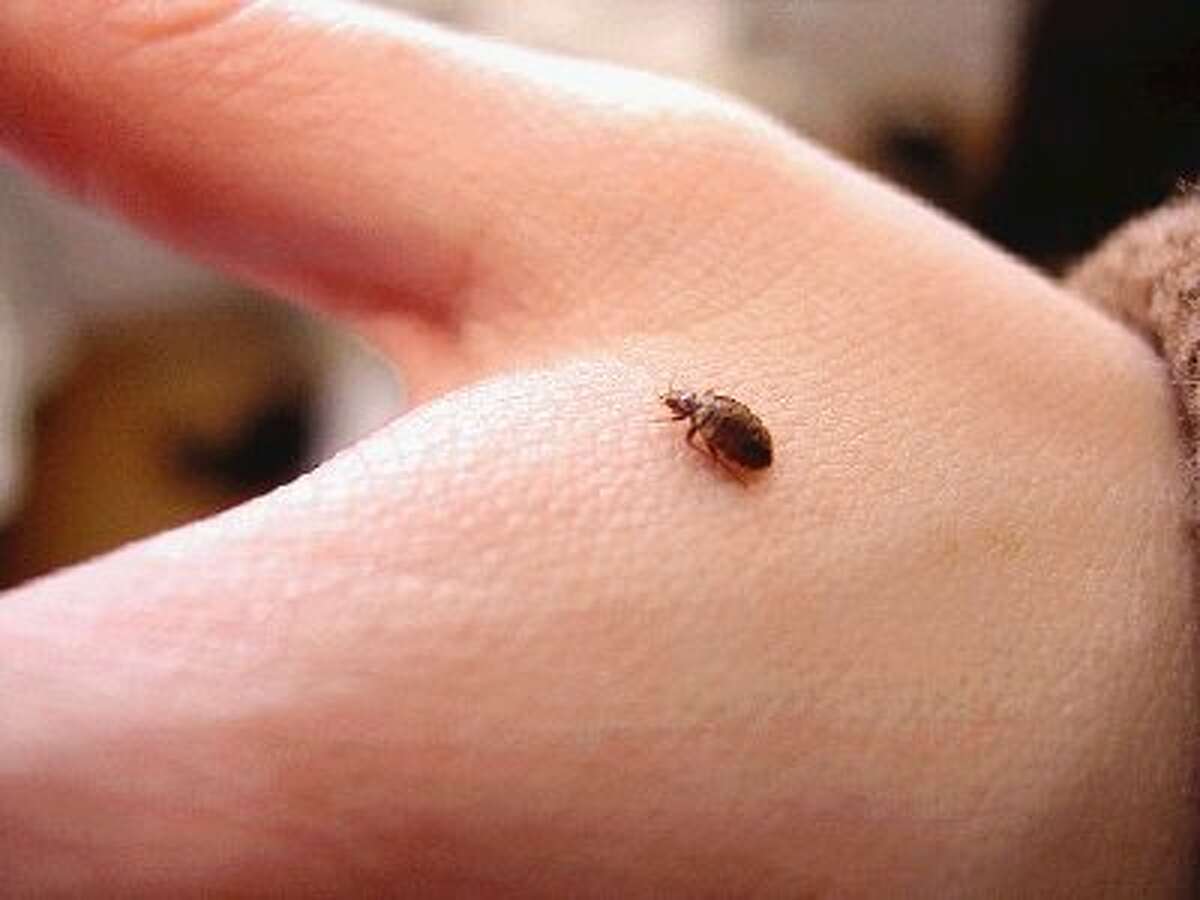 Don’t let the bed bugs bite
