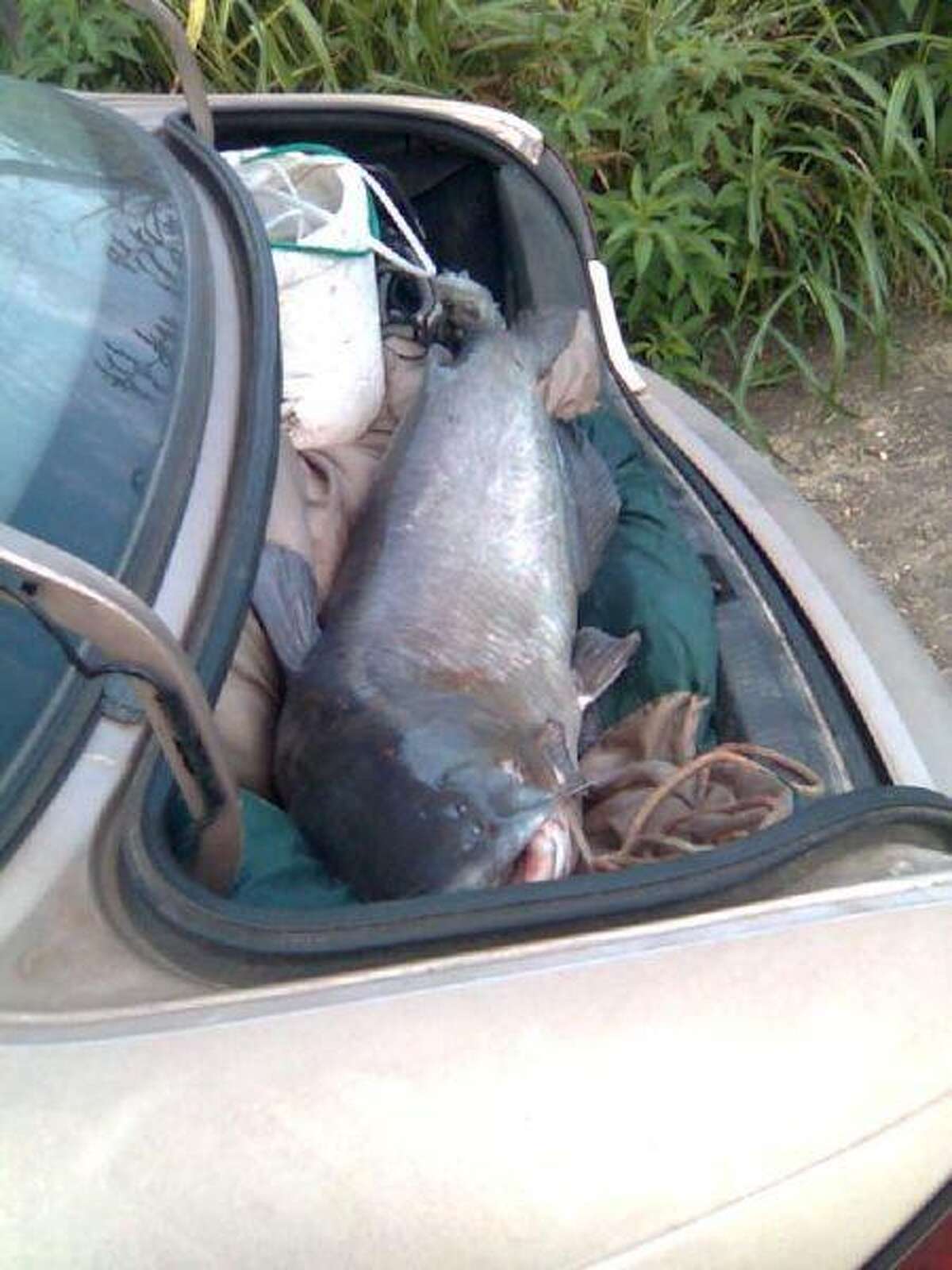 Lake Conroe Fishing Report