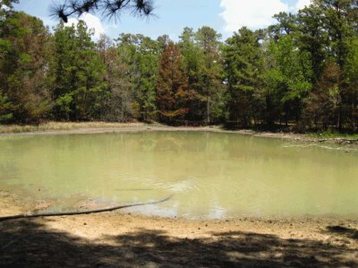The pond at W.G. Jones State Forest is being revitalized with 10,000 gallons of water donated by Key Energy of Houston.