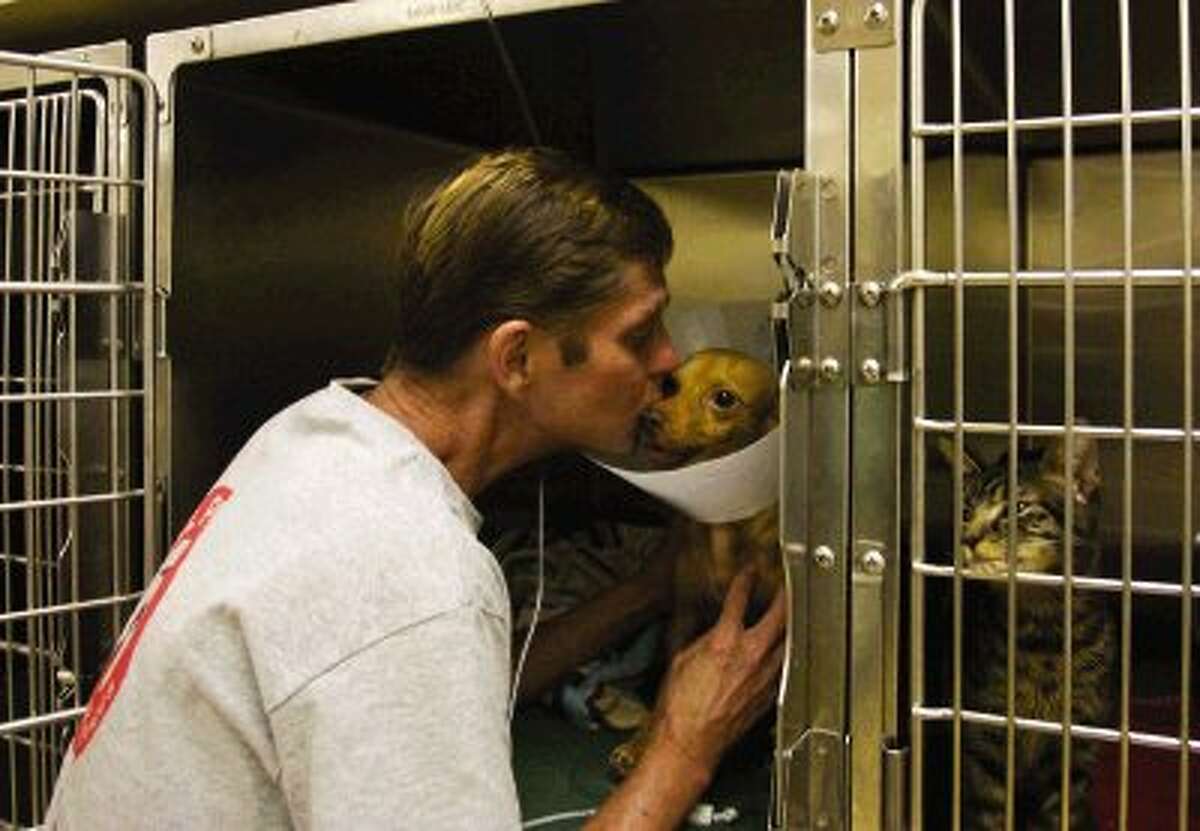 Barry Tollison gives his Chihuhua Rusty a kiss as he visits Tuesday at the Animal Hospital of The Woodlands after Rusty underwent surgery.