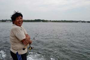 Stamford residents notice recovery of marine life in the Sound