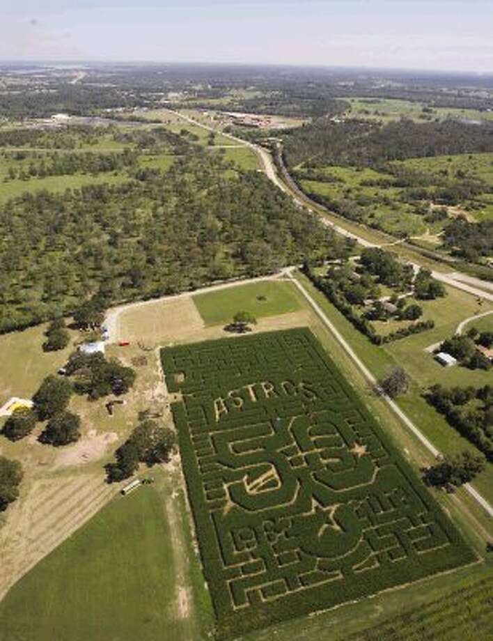 Second Annual Lone Star Maize Offers Family Fun In Montgomery The Courier