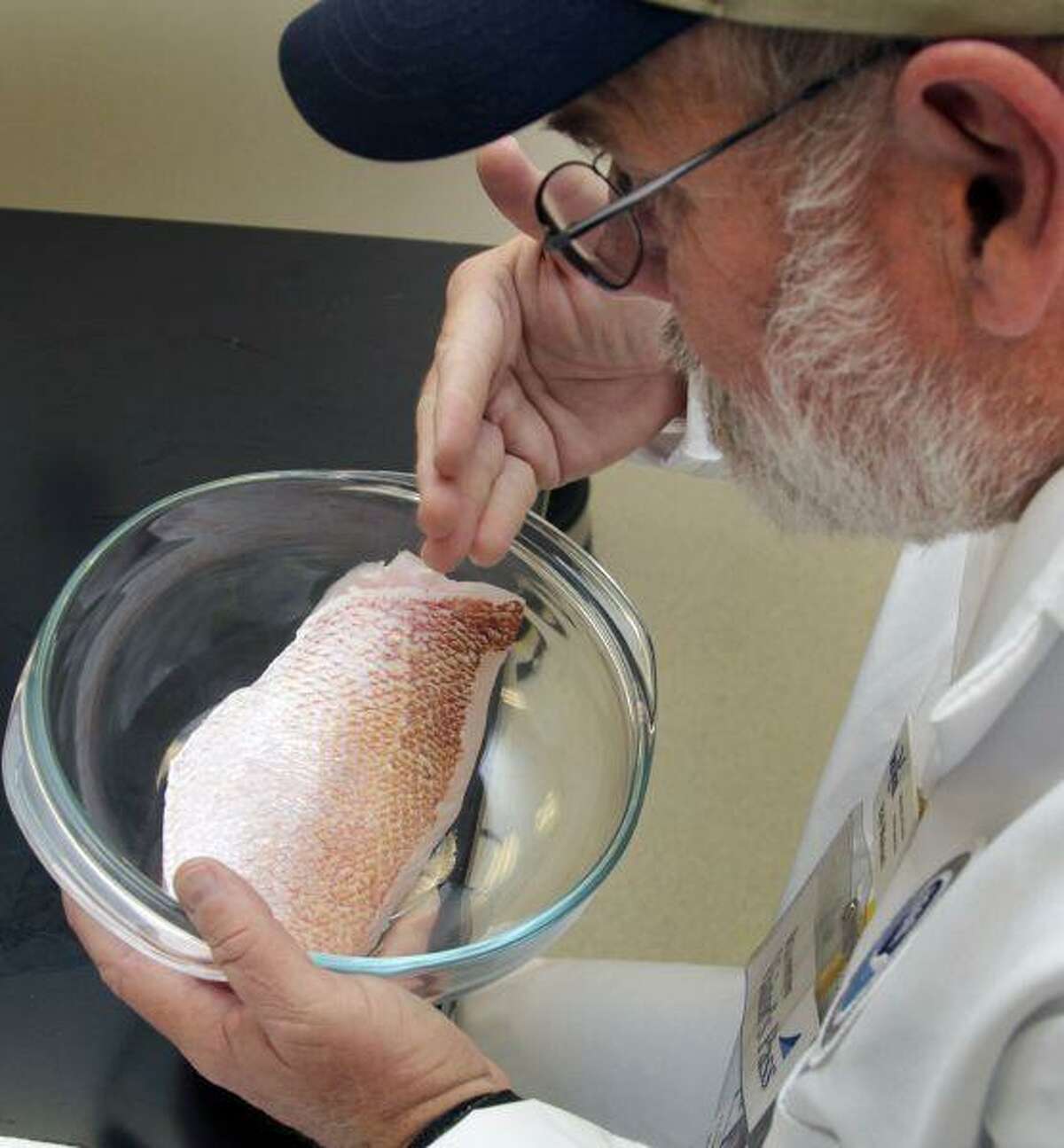 In this June 3 file photo, William Mahan of the University of Florida demonstrates how to smell for taint in seafood as he moves the air across a red fish filet at NOAA’s seafood inspection program in Pascagoula, Miss.