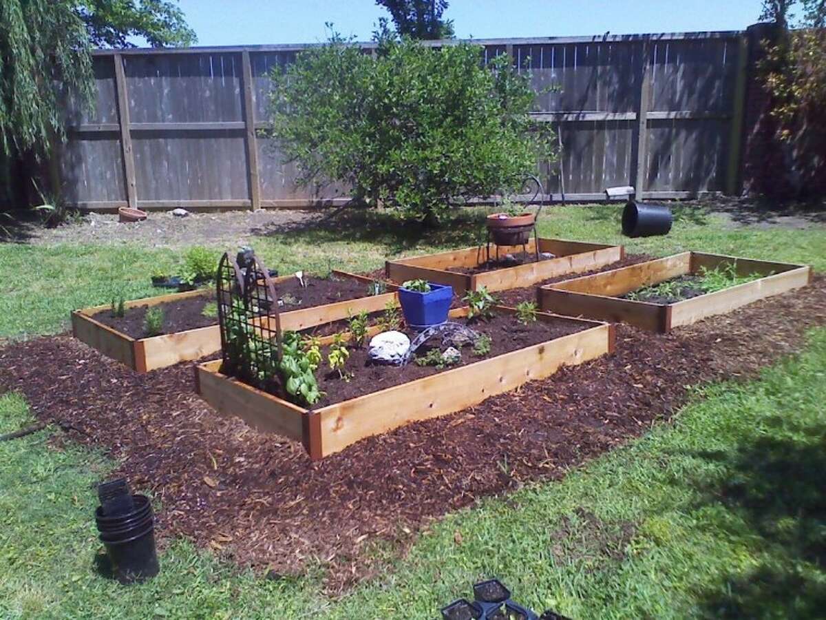 Small, raised beds can be used to make a big dent in your produce bill.