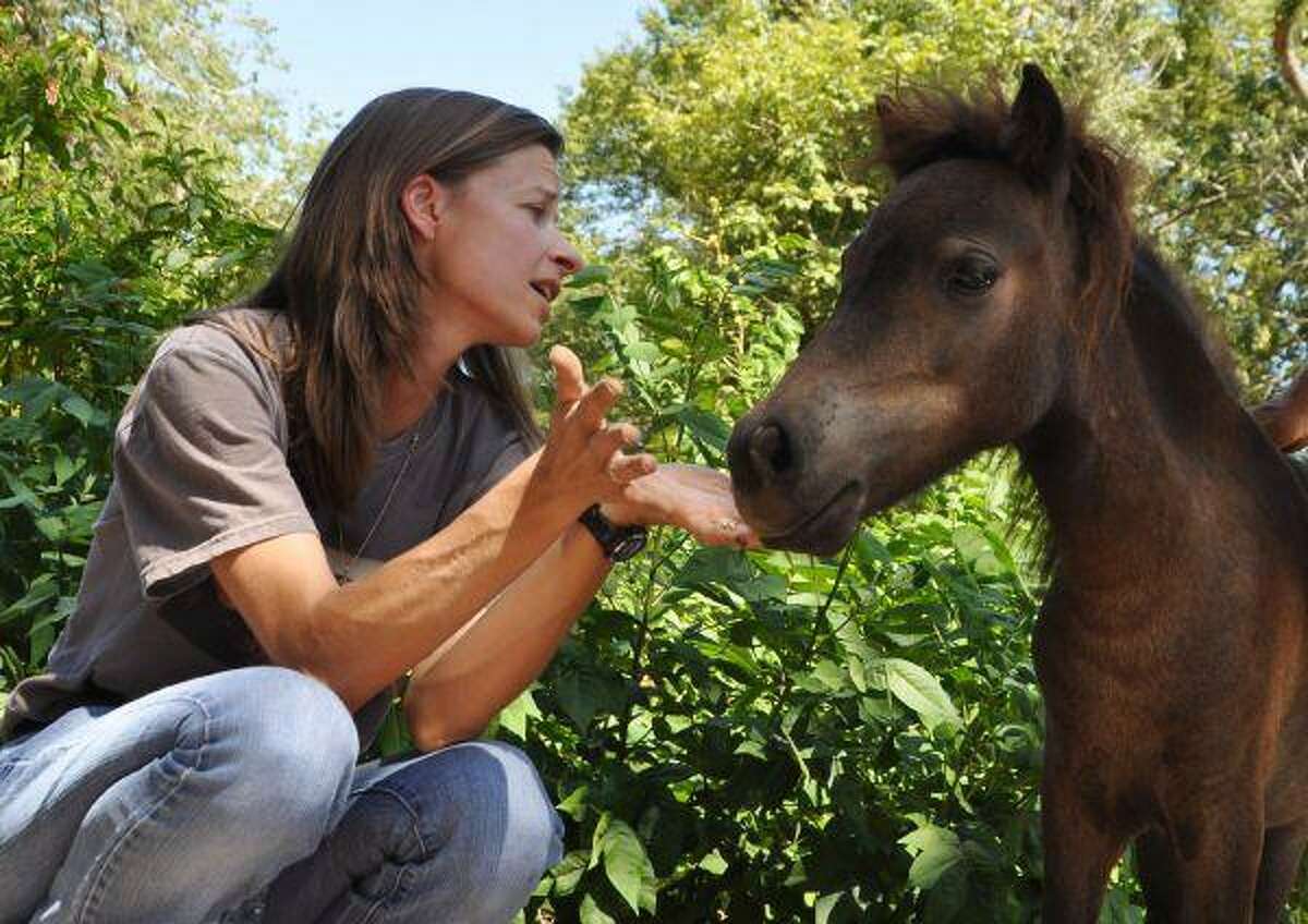 In this July 31 photo, Valerie Toups decides to buy Dark Caramel at the Monastery of St. Clare miniature horse farm in Brenham. The monastery is up for sale after welcoming buyers and the tens of thousands of tourists who visited for the last 25 years.