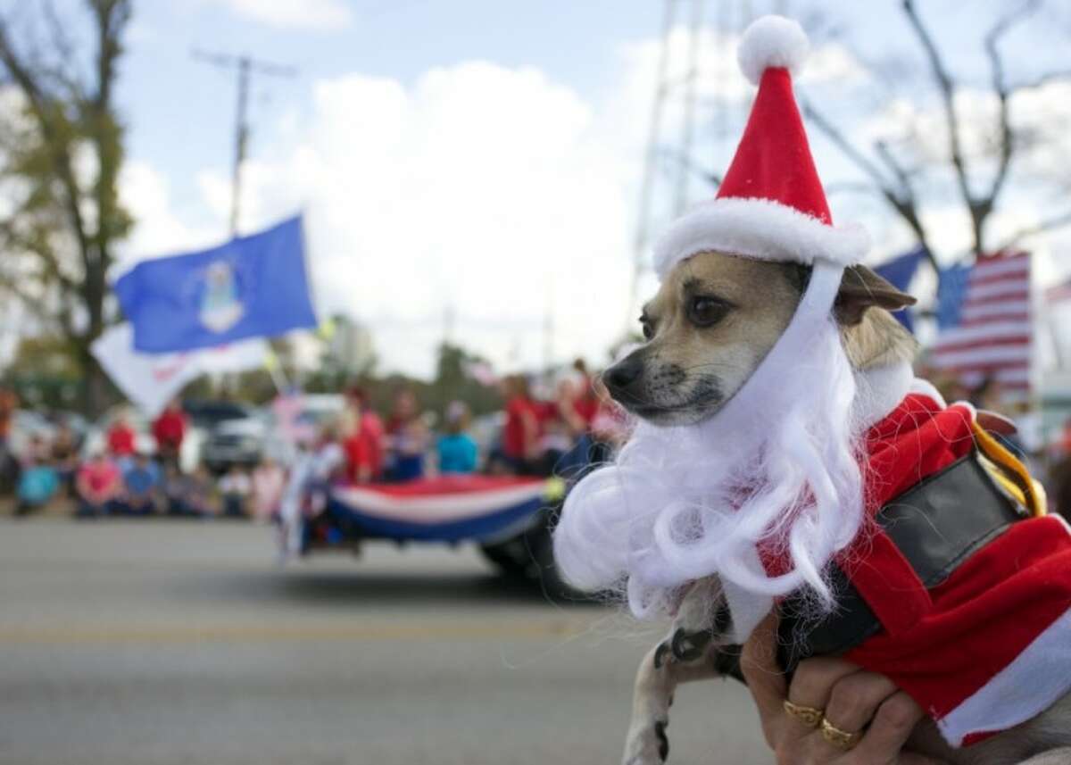 Annual Willis Christmas Parade, Festival pays tribute to soldiers