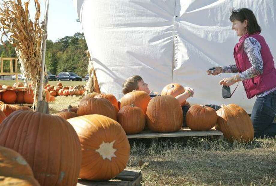 a happy halloween the courier how to get rid of aphids on christmas tree