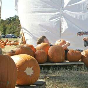 Sowder Happy Halloween Pumpkins Lumbar Pillow The Holiday Aisle Location: Indoor/Outdoor Use