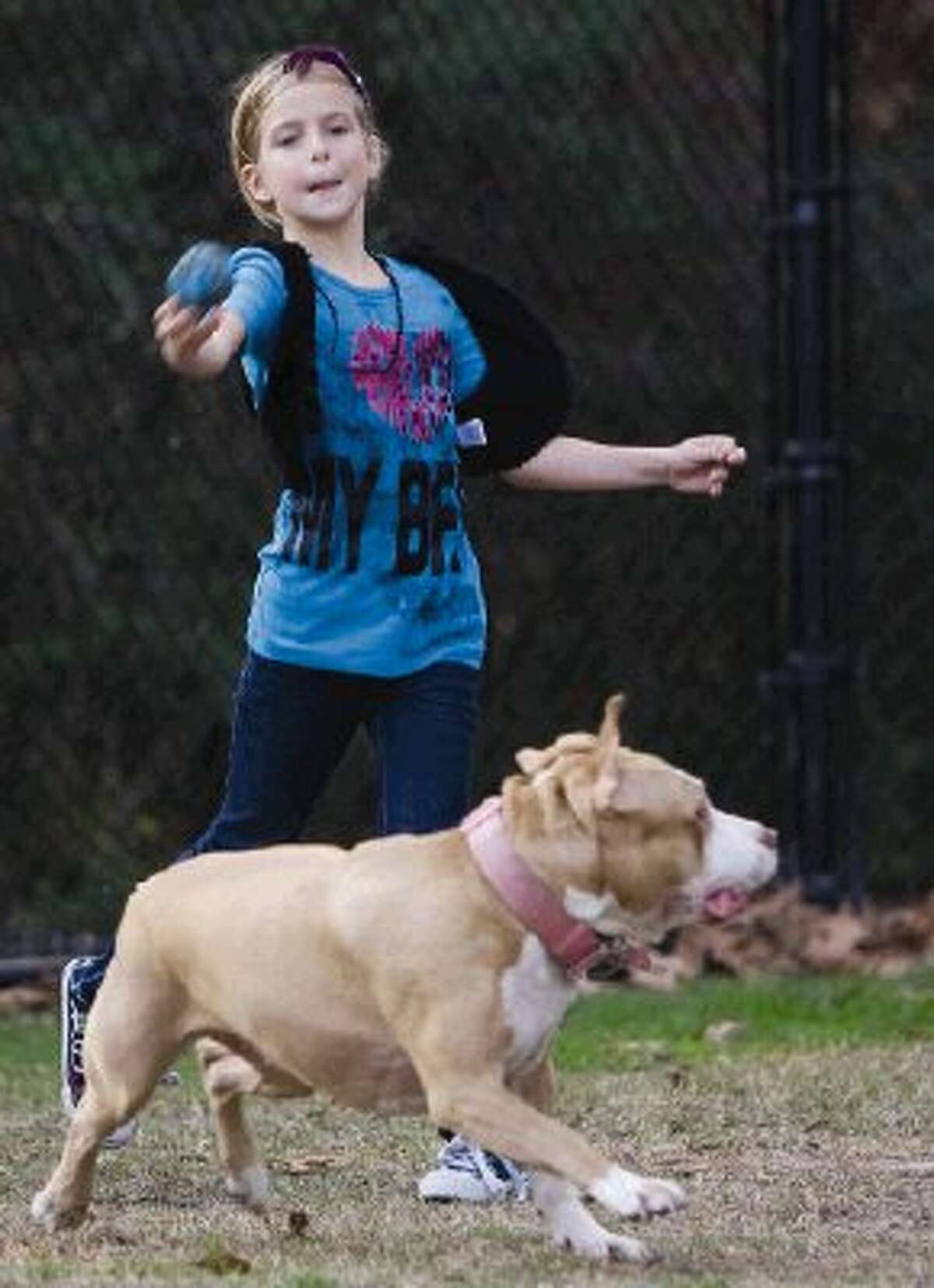 Hayden Ogden, 8, plays with Lady, a pit bull, at a park in The Woodlands on Tuesday.