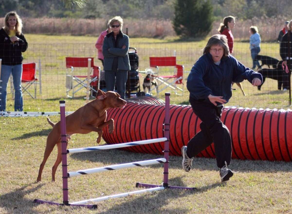 Agility teams depend on speed, accuracy and precision