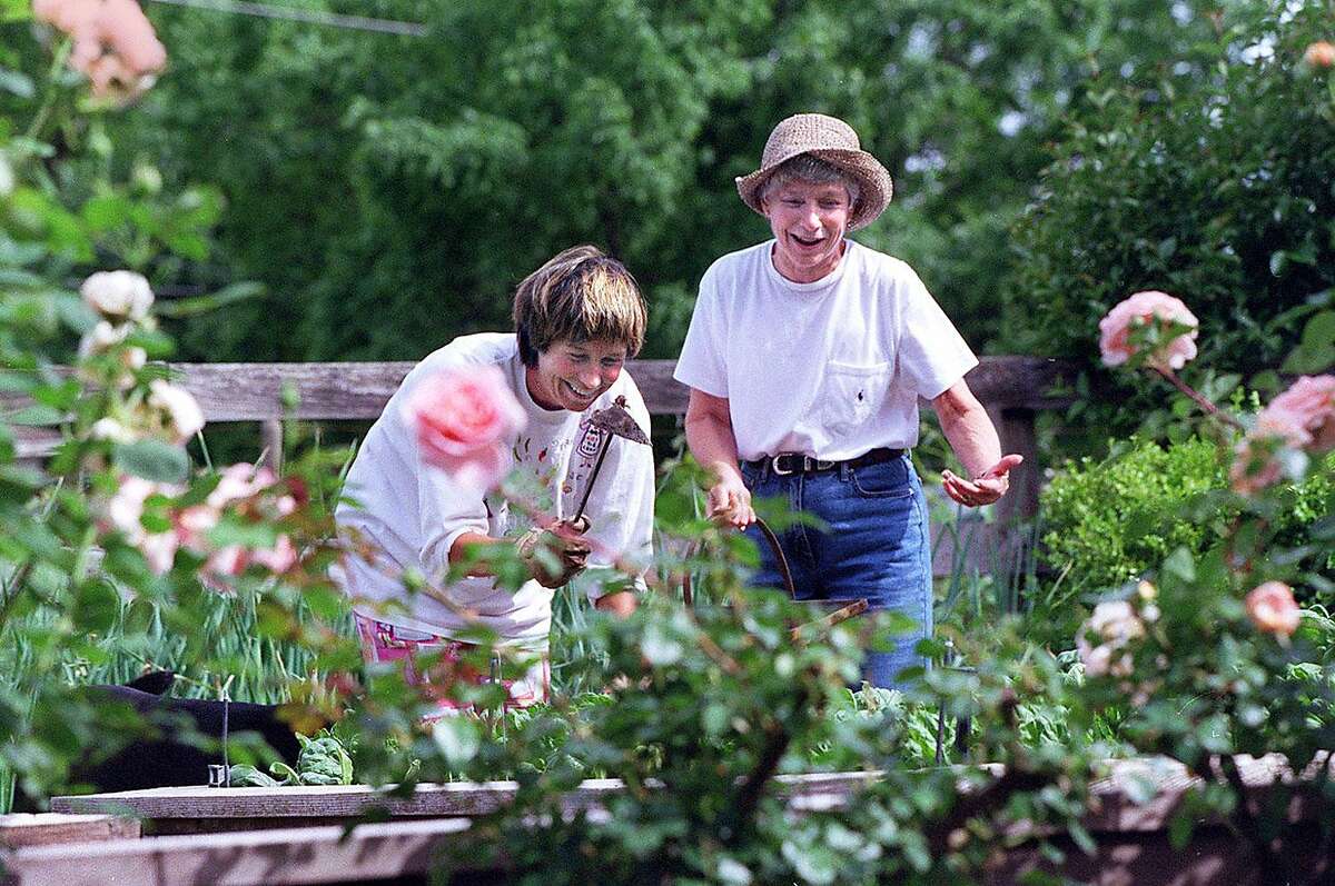 SPOTTSWOODE 5/C/29APR97/FD/CS - Daughter Kelley and mother Mary Novak work in the vegetable garden of Mary's home at the Spottswoode Winery in St. Helena. SAN FRANCISCO CHRONICLE PHOTO BY CHRIS STEWART