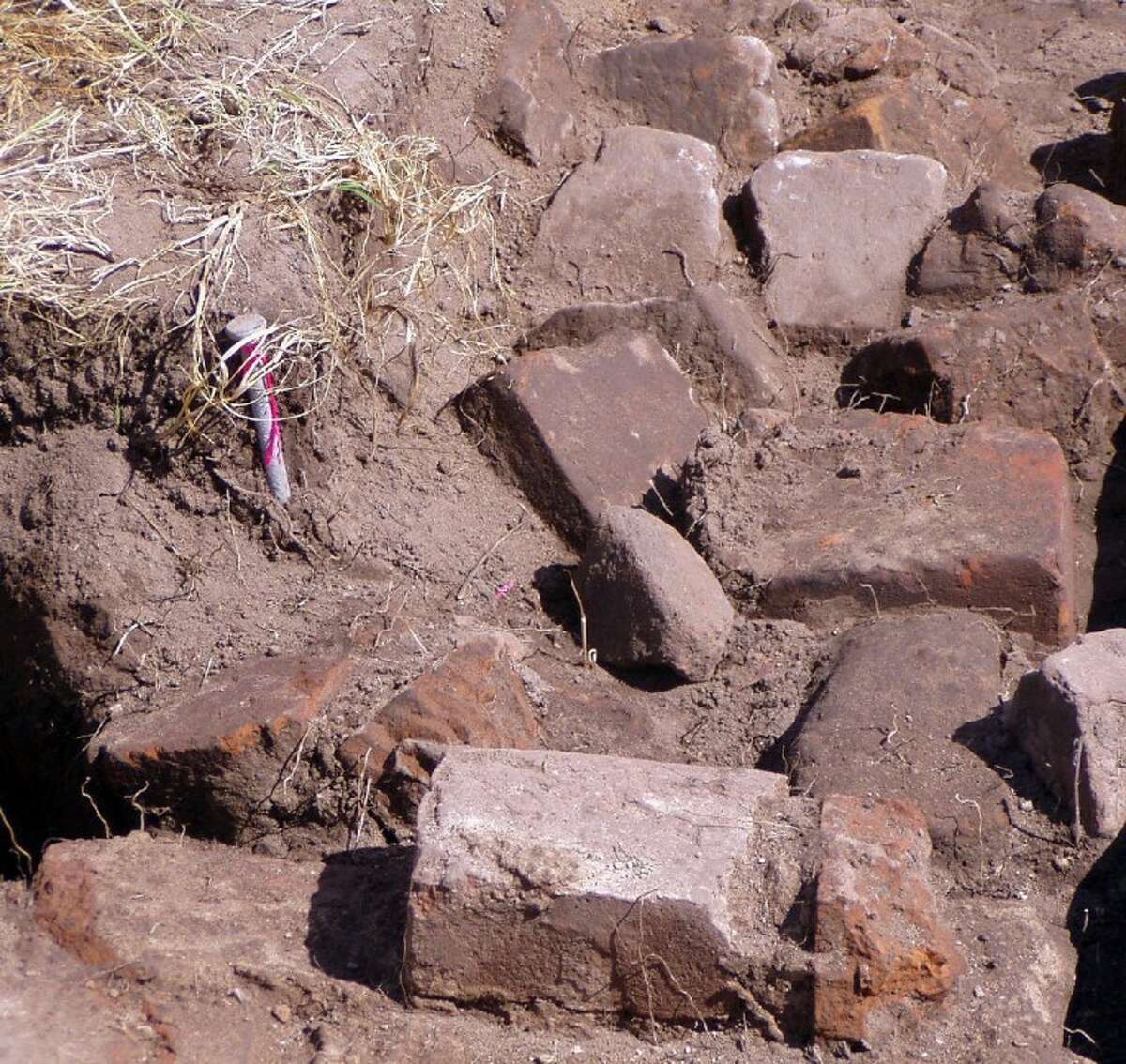 Bernardo Plantation site endangered