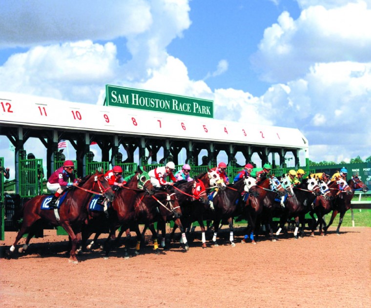 Sam Houston Race Park, always a good bet for fun