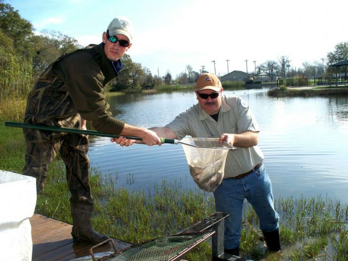 Cagle helps restock Jersey Village area lake in time for