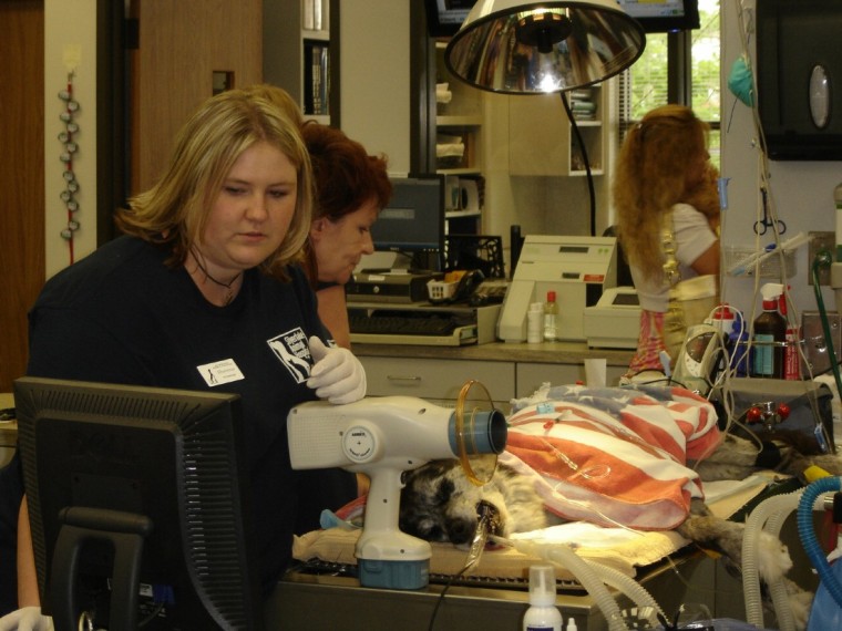 Silverlake Animal Hospital open for business