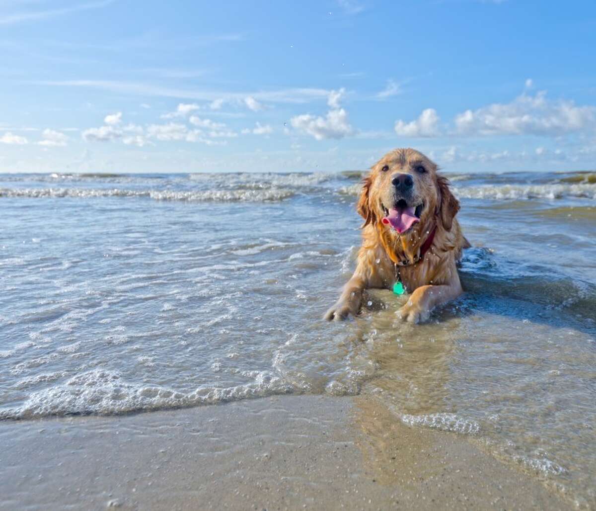 Galveston Has New Attractions For Spring Break
