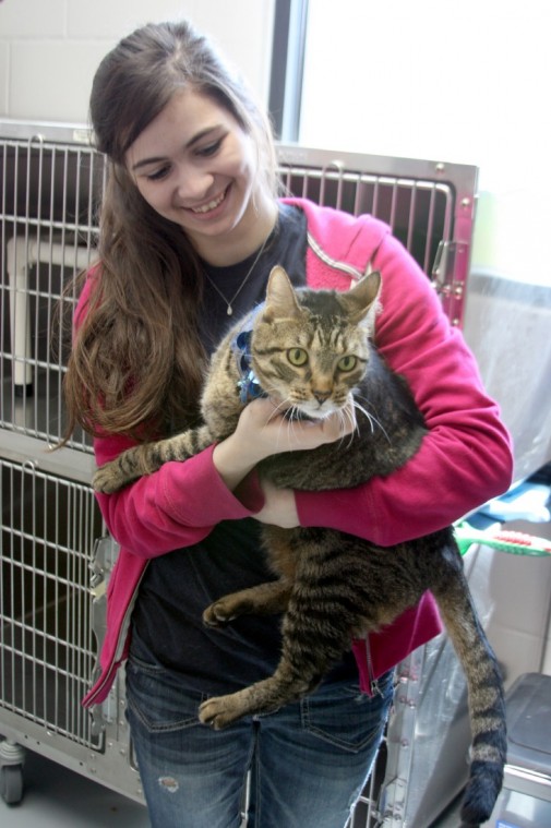 Putting their best paw forward: Friendswood Animal Shelter hosts open ...