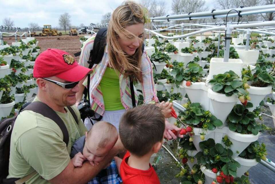 Worth the drive: Things to do this spring, summer in and around the ...