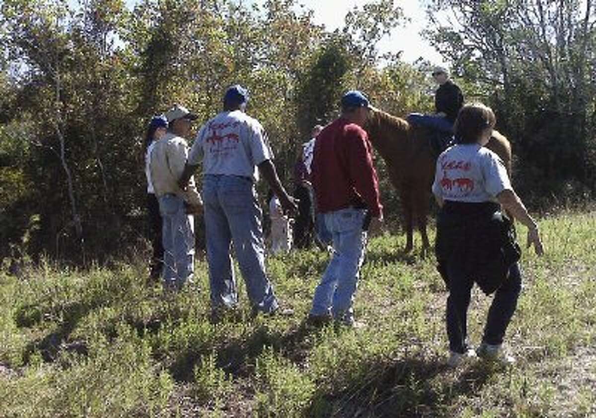Texas EquuSearch lost is not alone