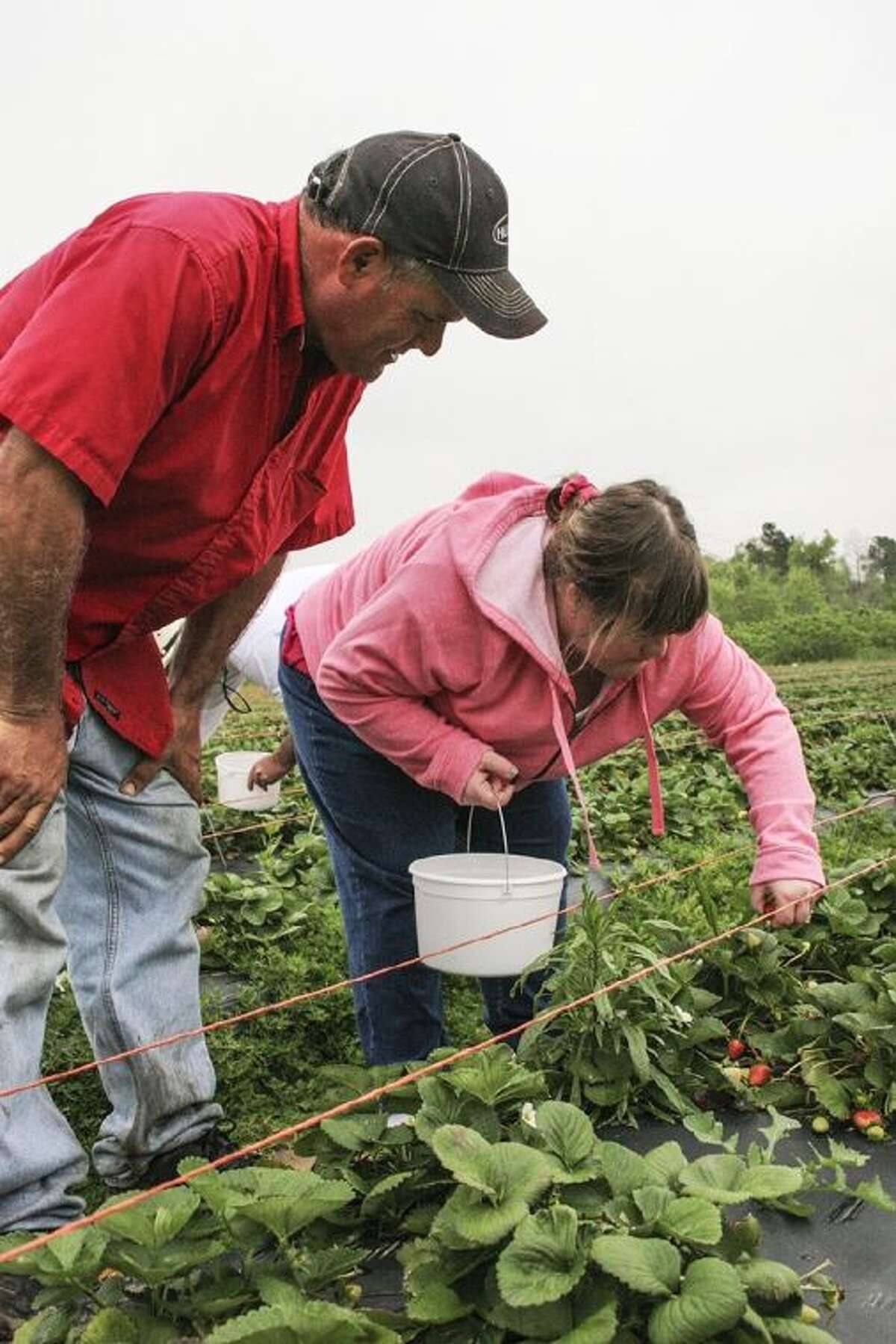 Worth the drive: Things to do this spring, summer in and around the ...