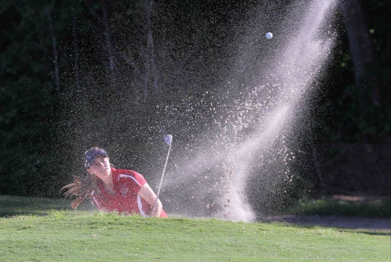 State Golf: Clear Lake Finishes 12th