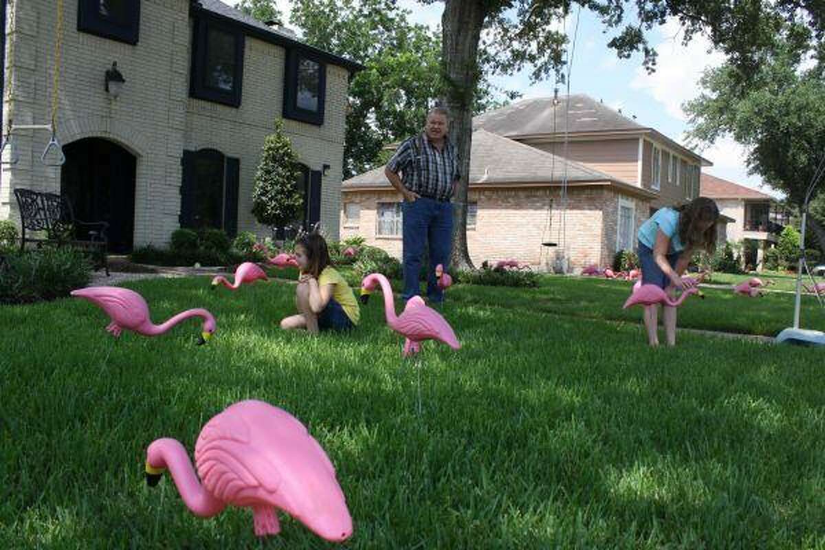 Cause takes flight in Pasadena neighborhood
