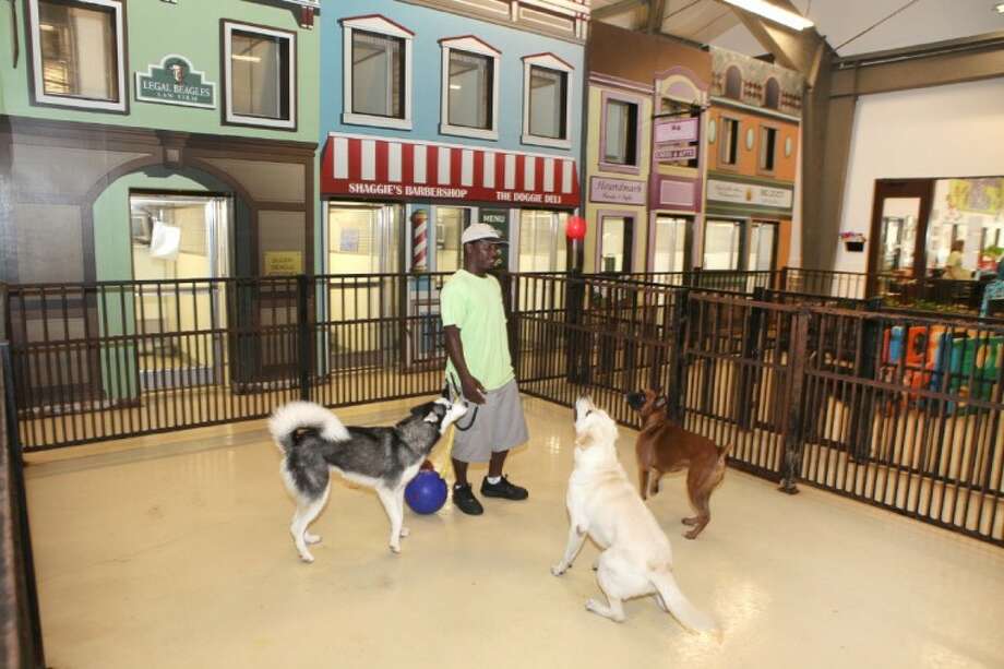 Furry Friends Enjoy Vacations At Lone Star Pet Lodge - Houston Chronicle