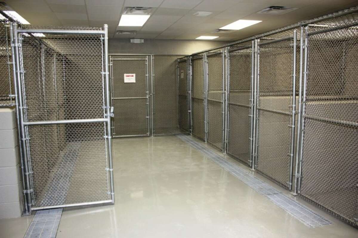 City to open new animal control shelter