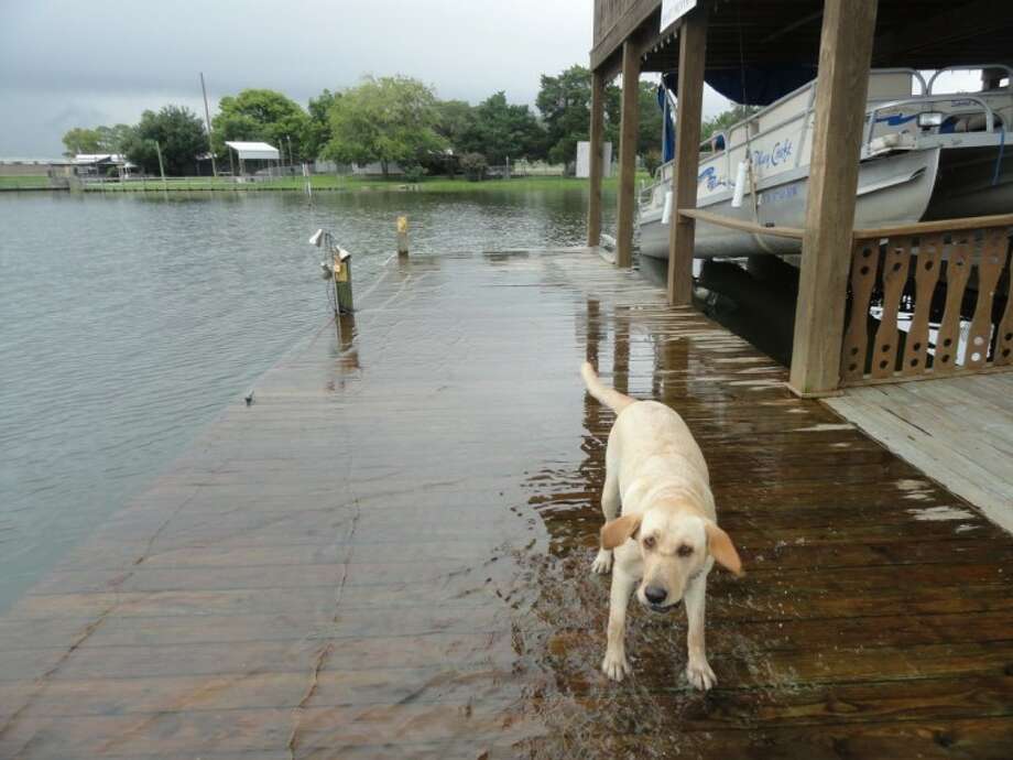 Boat docks beginning to flood around Lake Houston Houston Chronicle