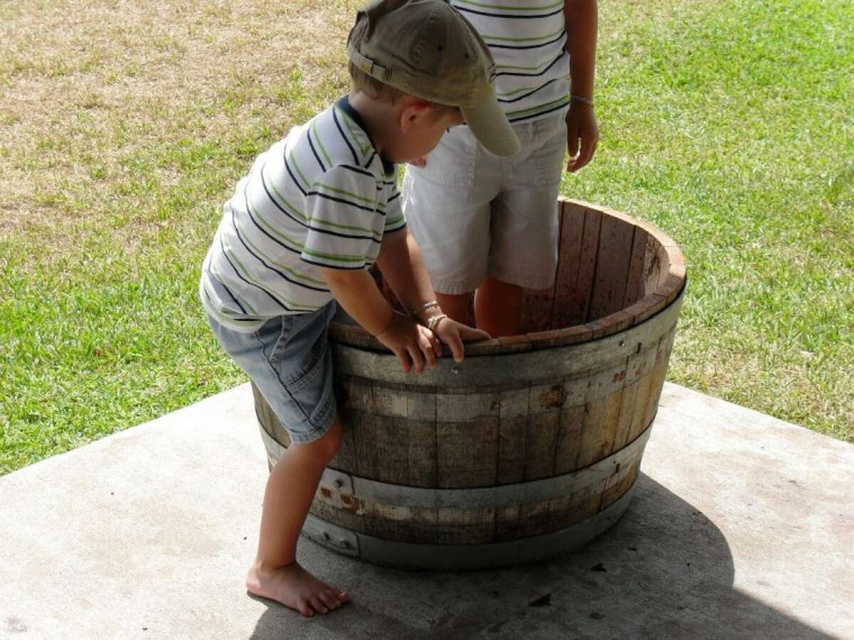 Grape stomping is one of the activities to take place at the Lavender and Wine Festival Saturday at Windy Winery. Windy Winery is at 4232 Clover Road off of FM 50 near Brenham.