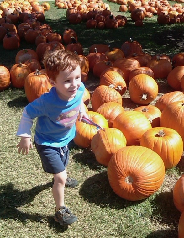 The Pure Pumpkin Patch Returns To St. Luke’s United Methodist Church