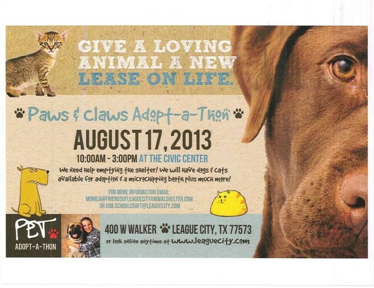 Massive adoption event for homeless pets Massive adoption event for homeless pets