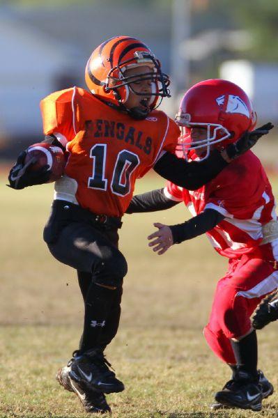 bengals youth football