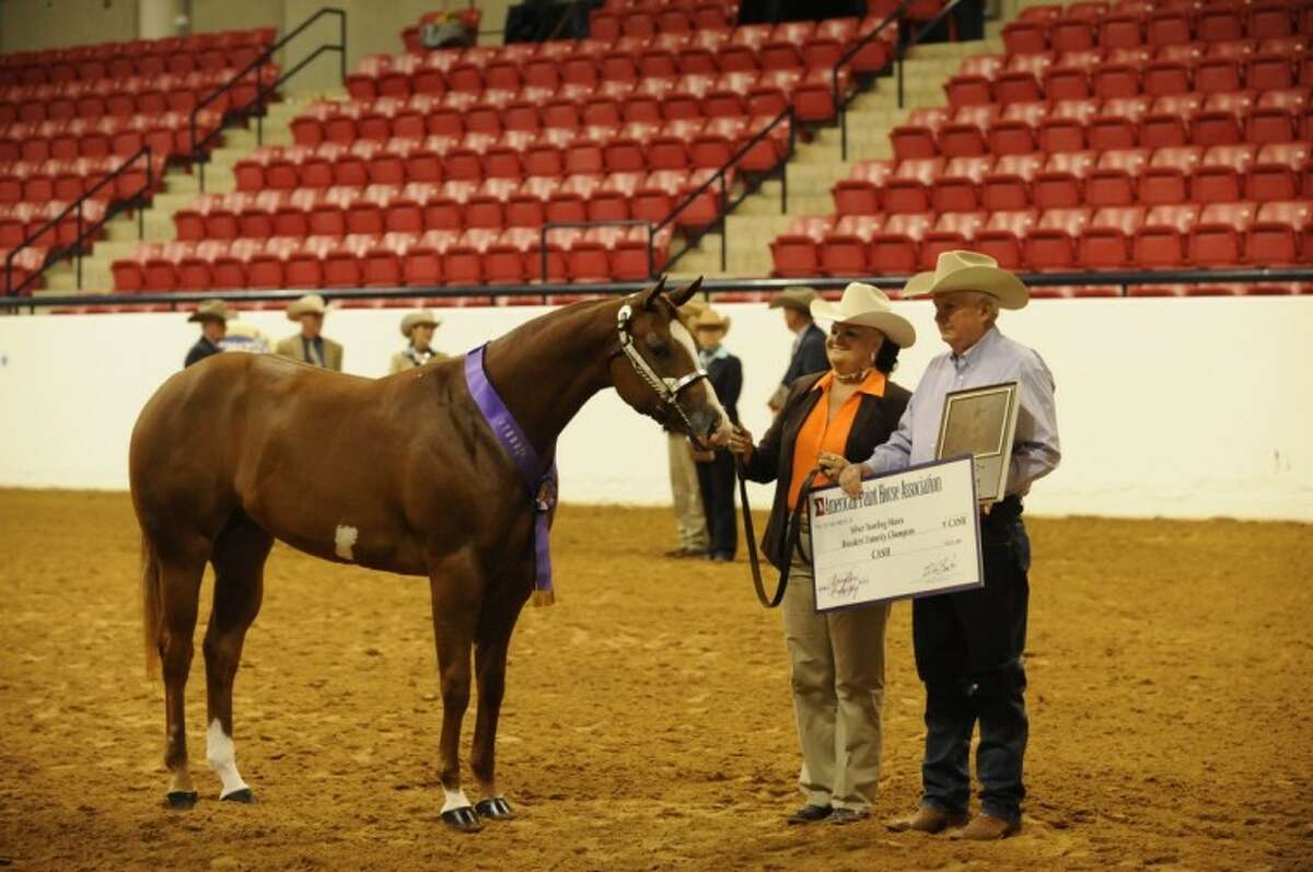 Cleveland paint horse wins APHA championship