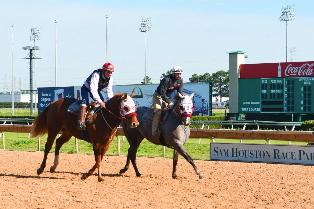 HORSE RACING: Throughbred season opens at Sam Houston Race Park on Friday