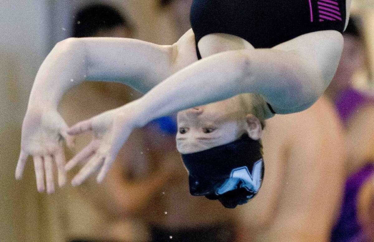 Willis' Kaley Batten competes in the District 20-5A dive meet in Friday, Jan. 22, 2016, in Shenandoah.