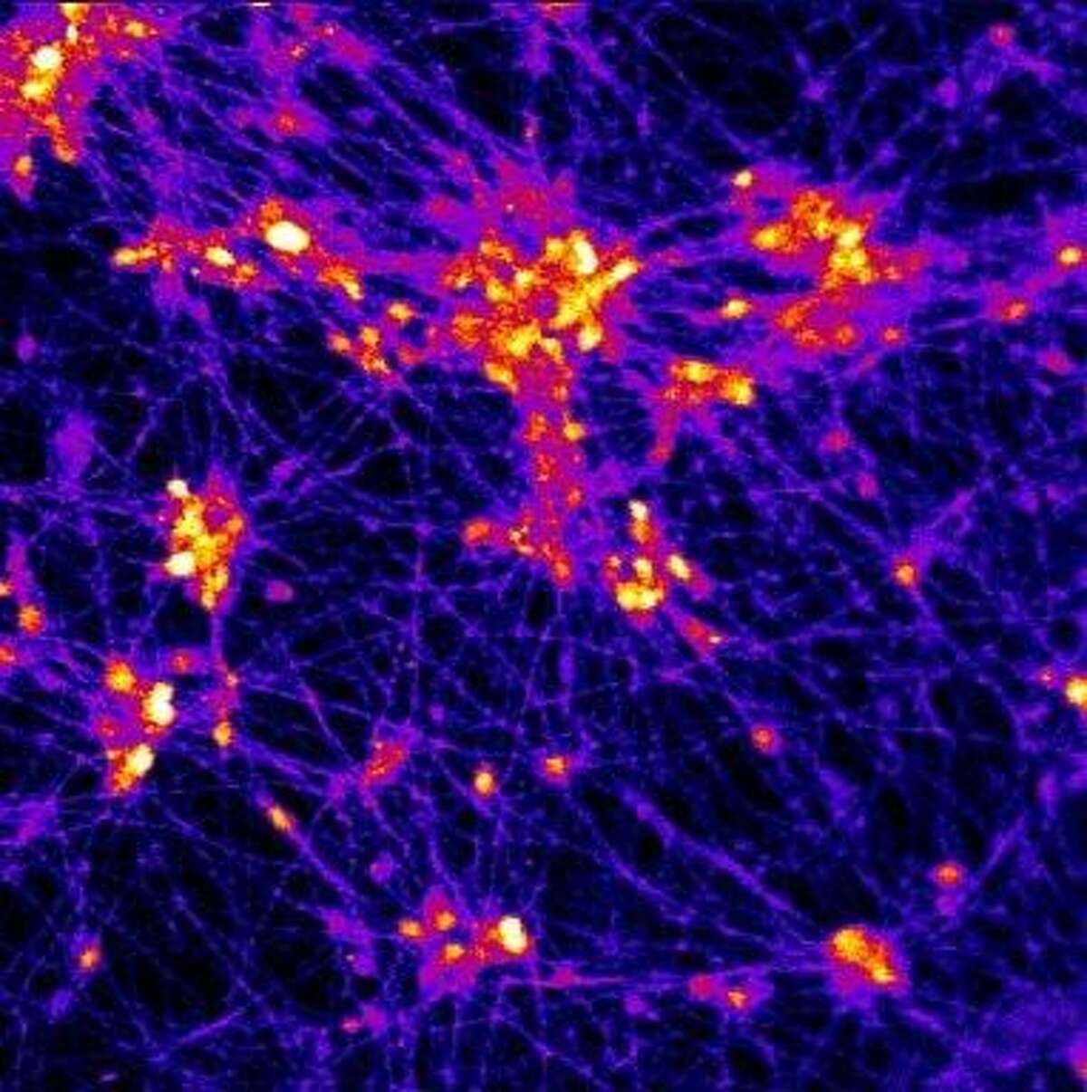 Human neurons on the 3D scaffold exhibit firing activity (yellow) in response to electrical current.