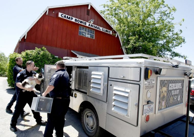 Fort Worth vet investigated for alleged cruelty