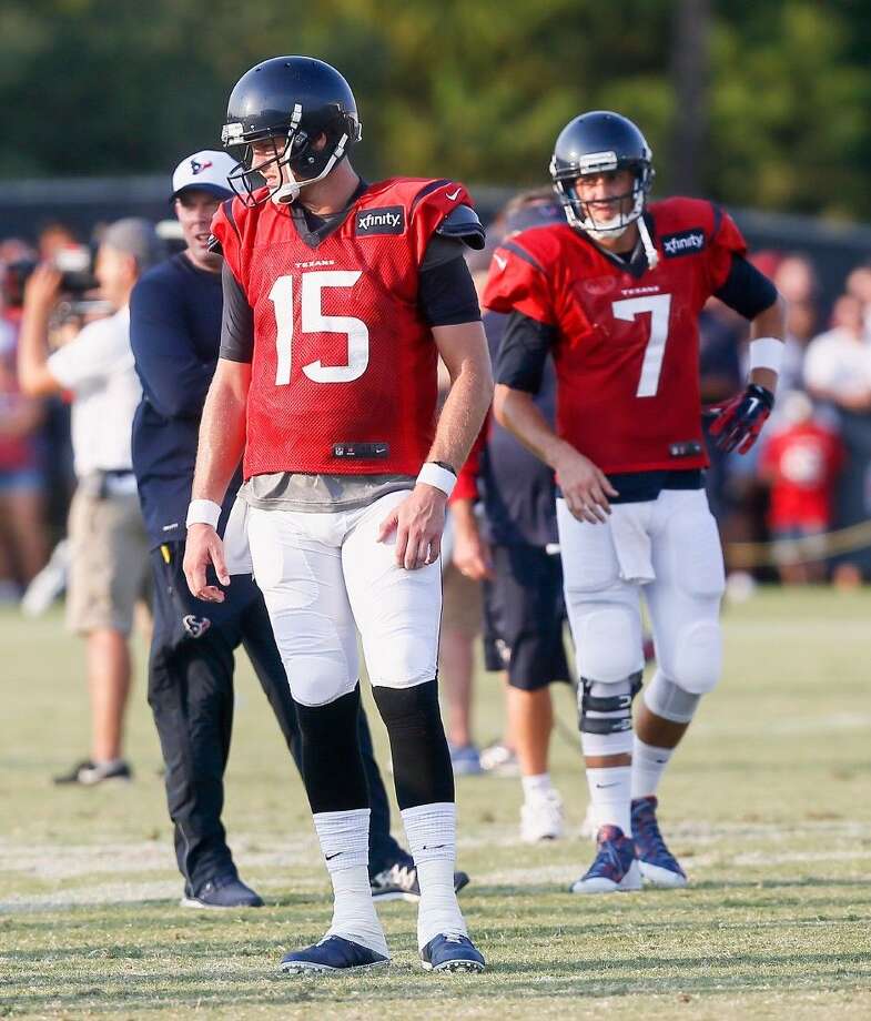 brian hoyer texans jersey