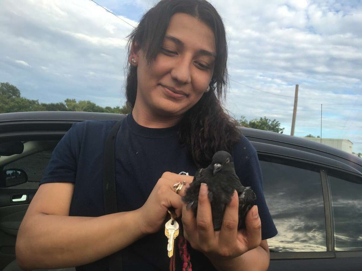 Conroe Feeder’s Supply rescues entangled bird