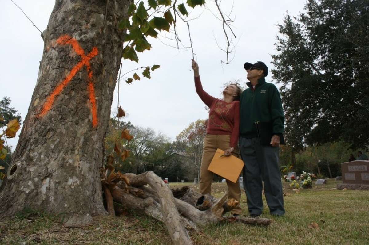 (left to right) League City Councilwoman Joanna Dawson and retired NASA employee Ernest Randall have been part of a group overseeing the preservation of Fairview Cemetery for years. More than a dozen trees had been marked with an x, initially designated to be taken down because of decay. But after a second look by experts, most of those trees will be saved.